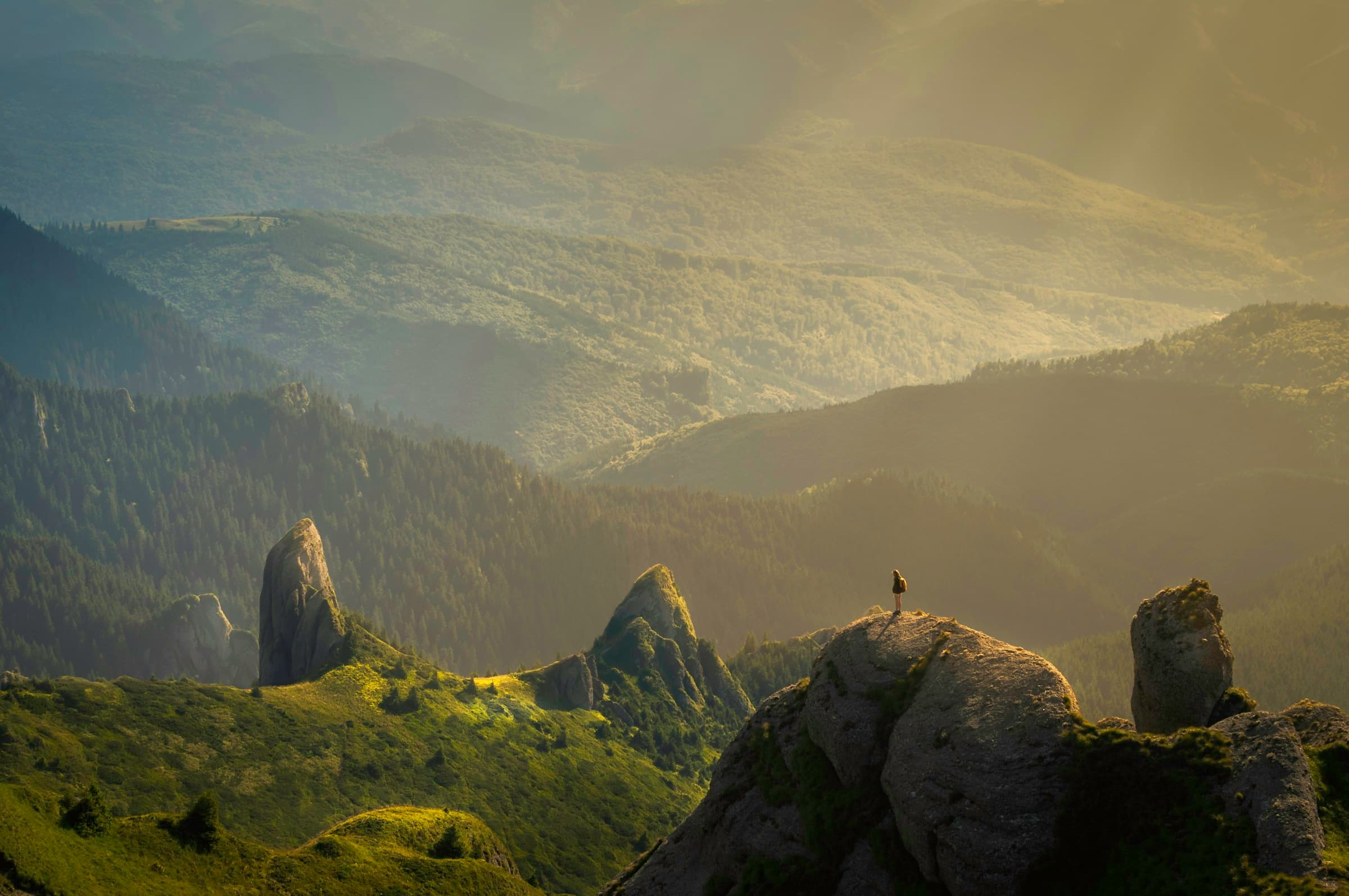 Sunburst over a mountain ridge with a lone tree in silhouette